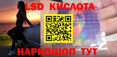 spice Кунгур