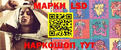 spice Кунгур