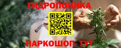 spice Кунгур
